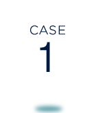 case1